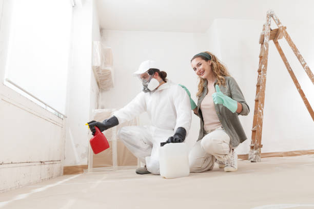 Best HVAC Mold Inspection and Cleaning  in Morton, PA